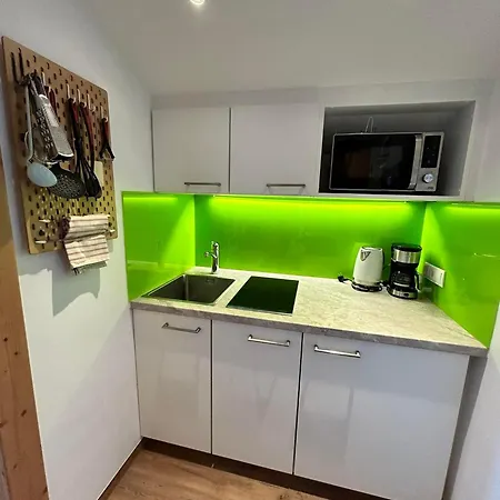 Apartment Vogelnest Mit Dachsteinblick & Pool
