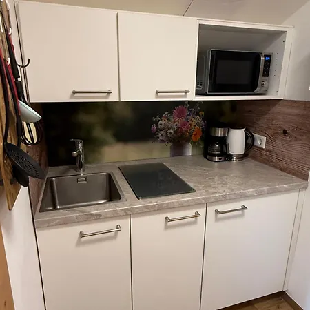 Vogelnest Mit Dachsteinblick & Pool Apartament