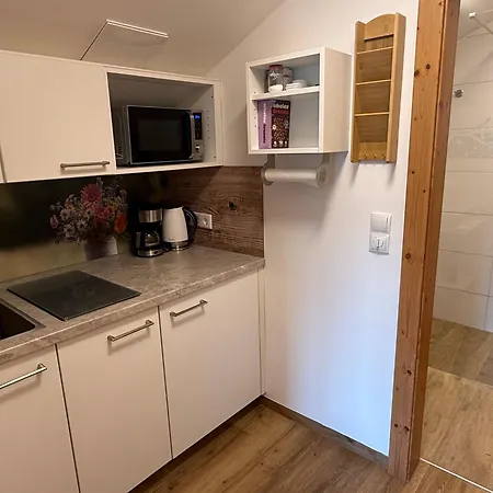 Vogelnest Mit Dachsteinblick & Pool Apartment Schladming